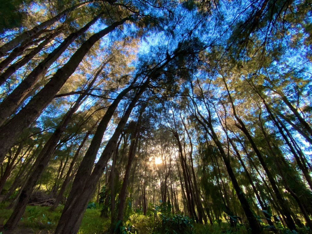 Blog Image