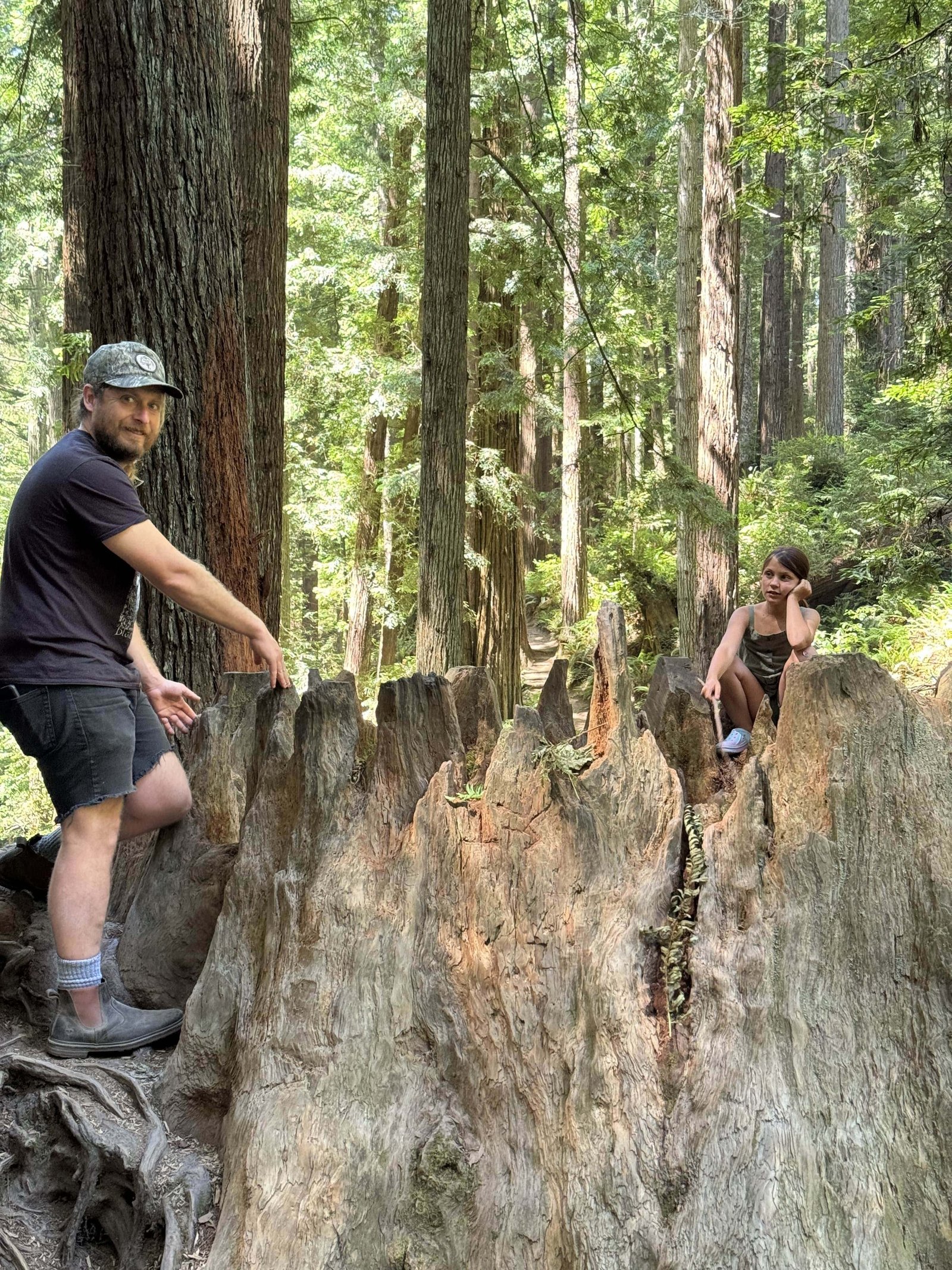 Exploring redwood paths
