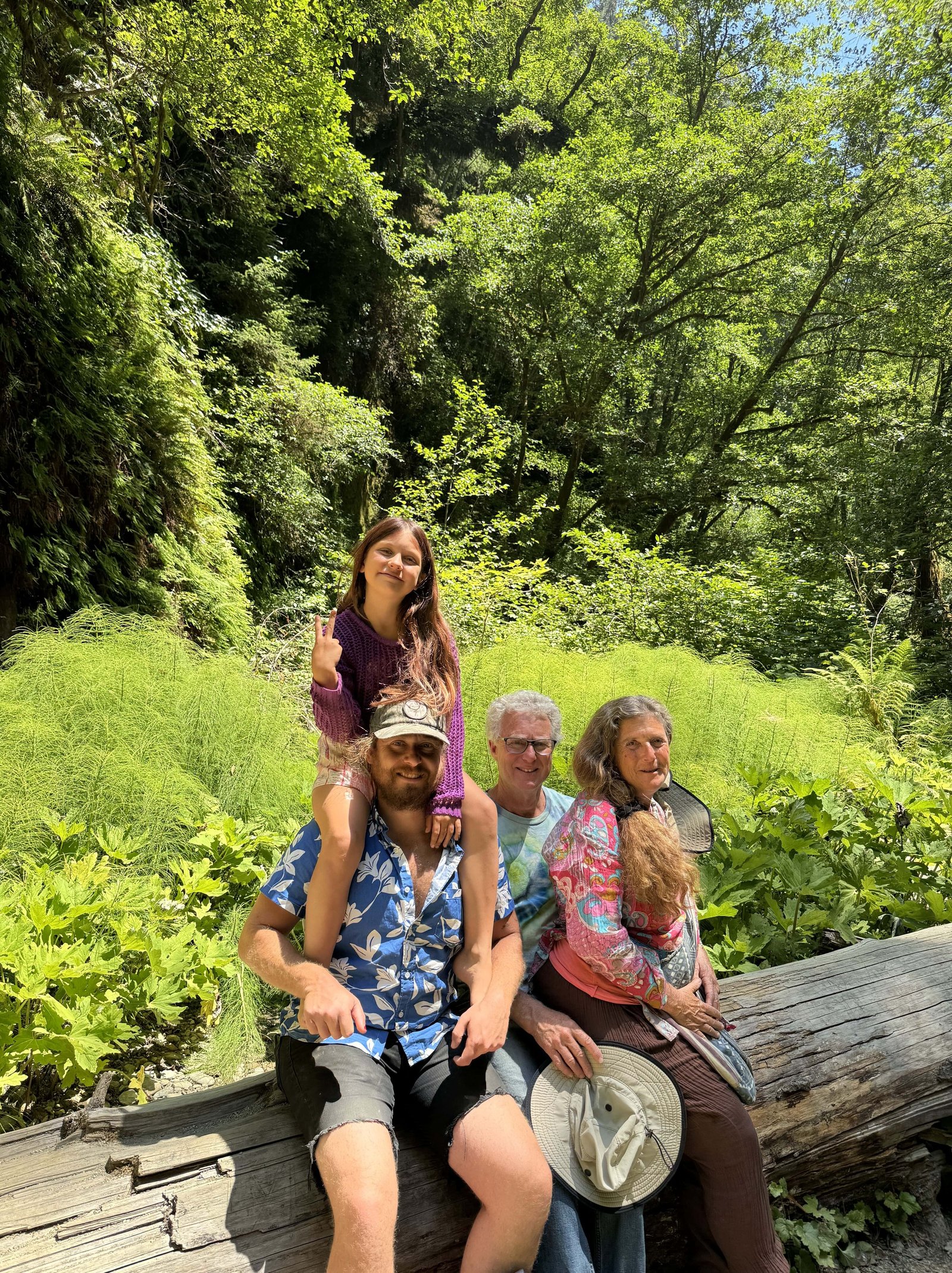 Forest giants and family