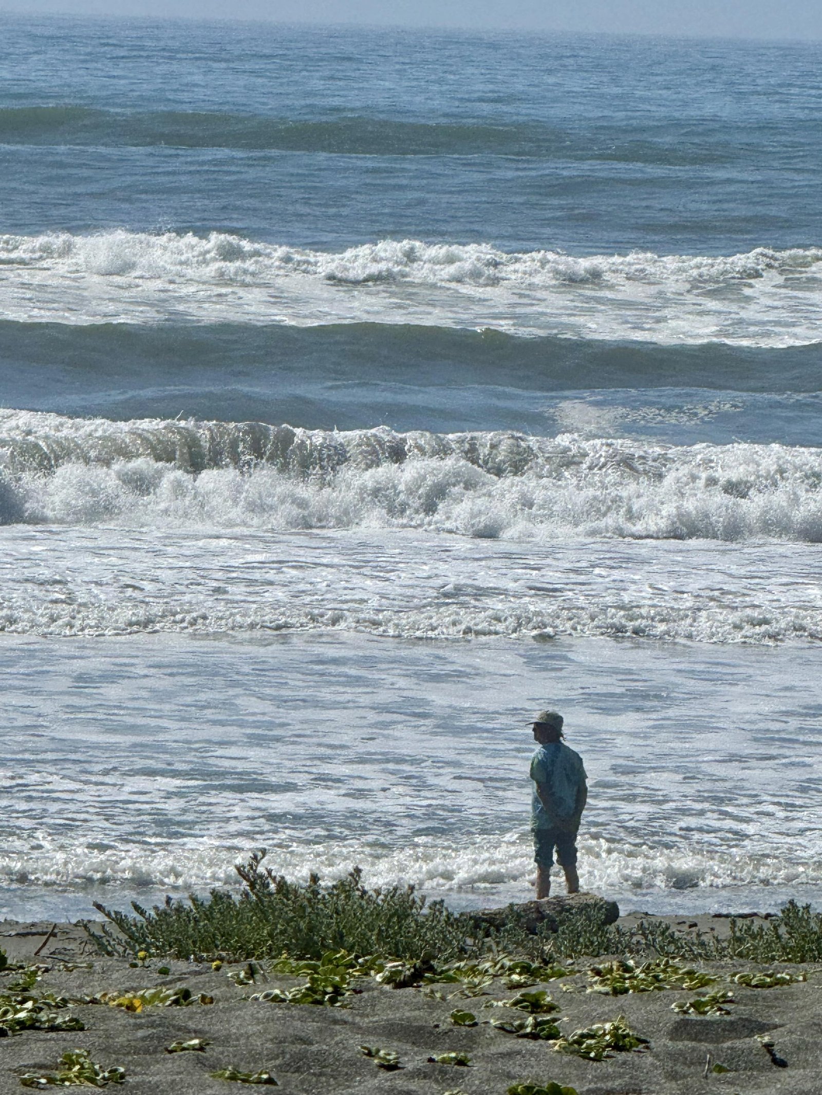 Northern California beach