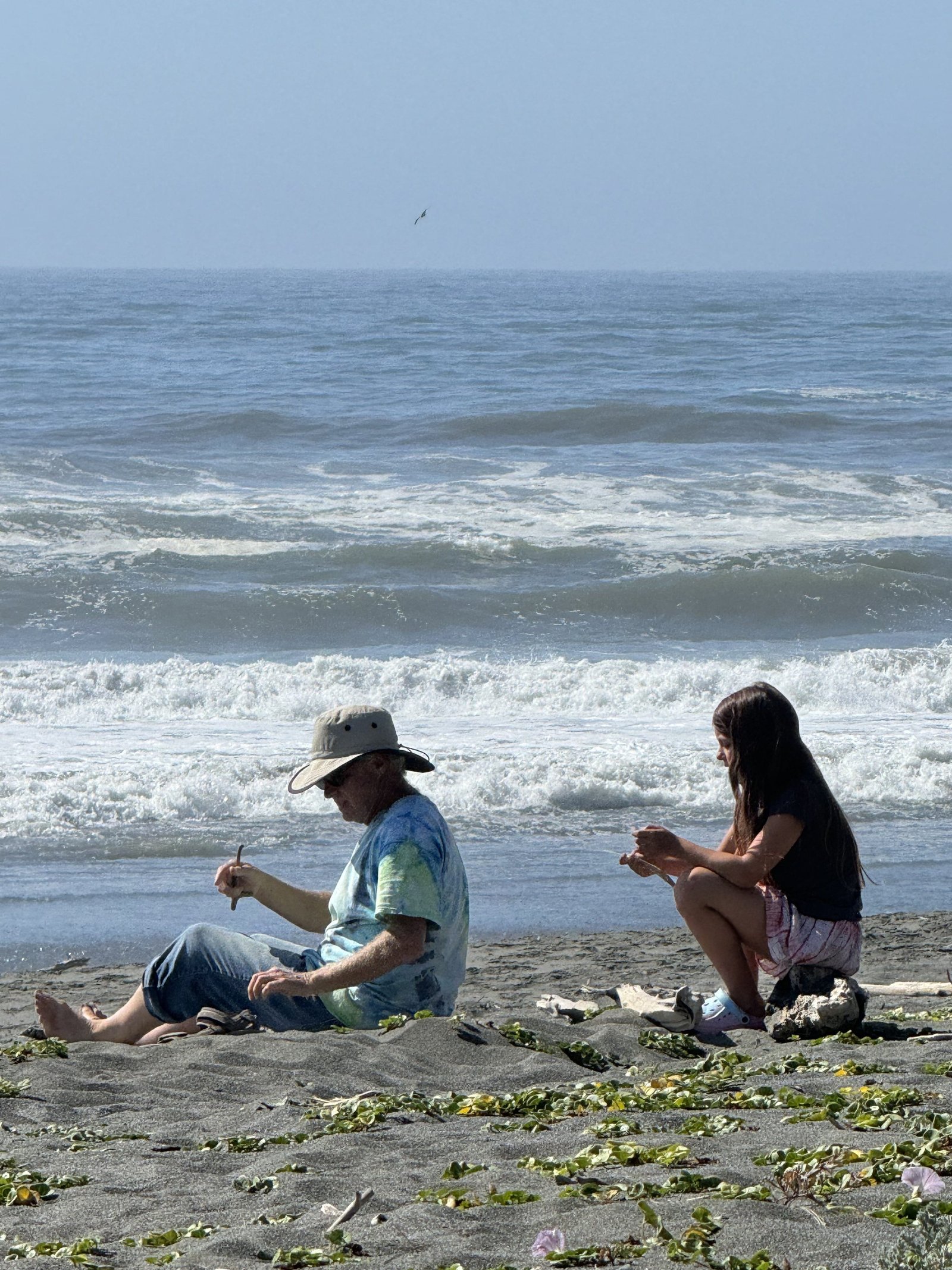 Coastal beauty and family