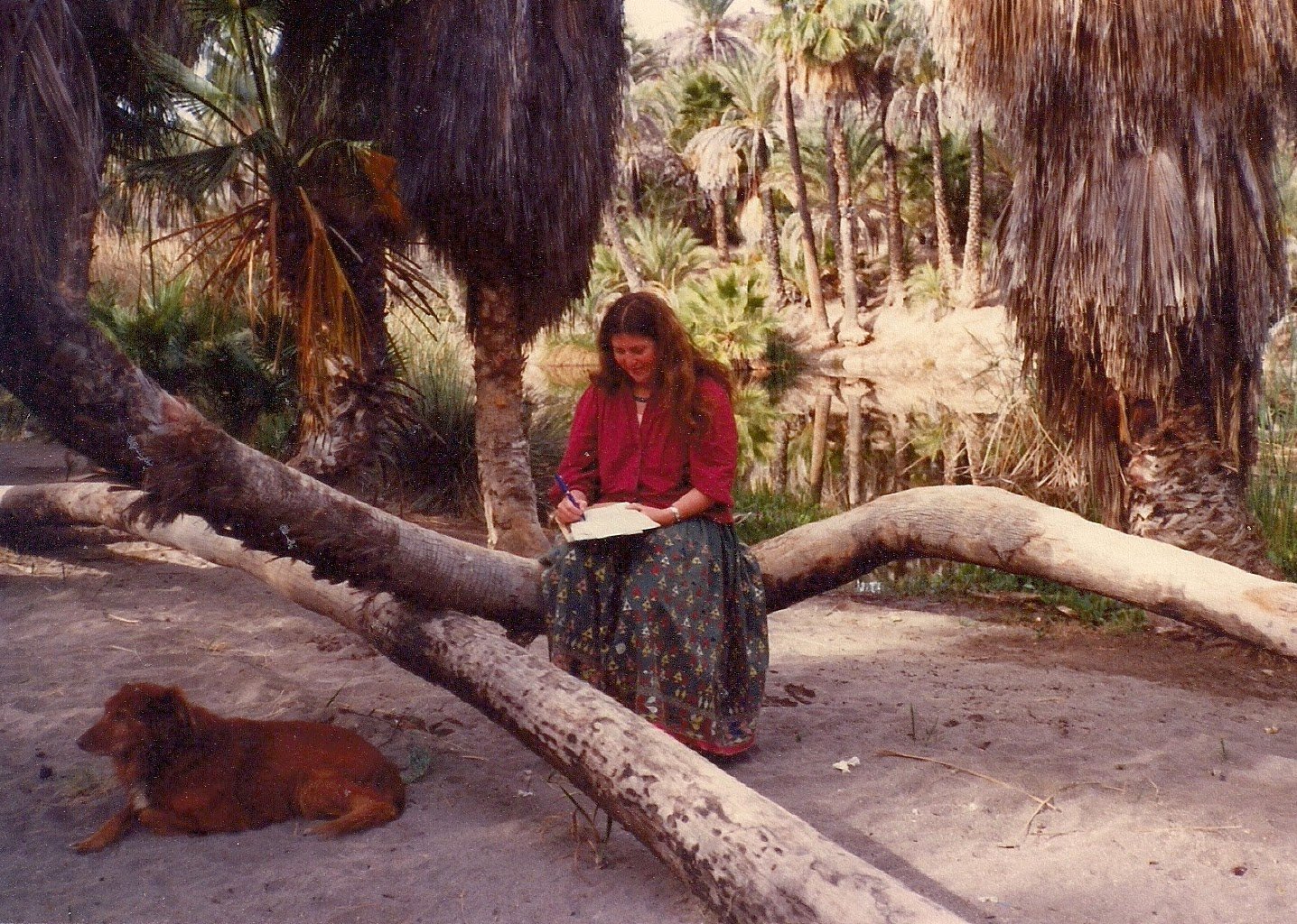 Blog Image