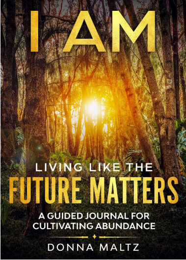 Ayurvedic wellness journal
