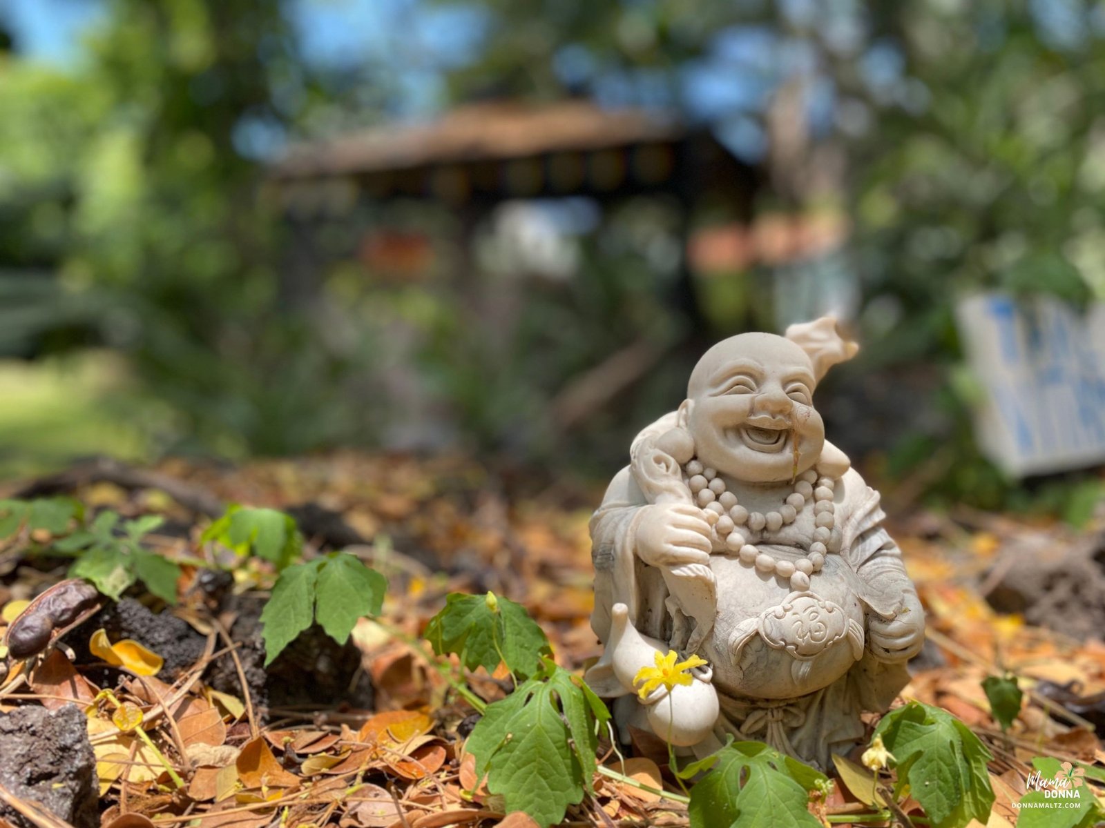 Blog Image
