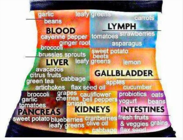 Foods supporting kidney health