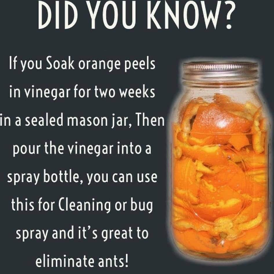 Natural cleaning solutions