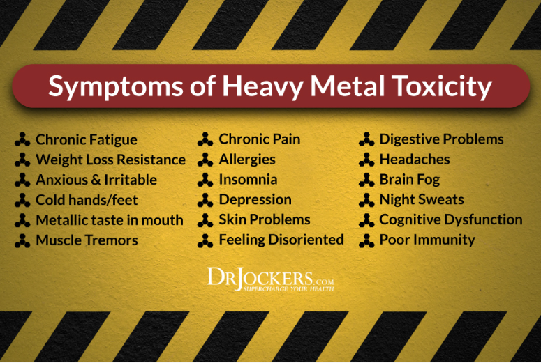 Understanding toxicity and body burden